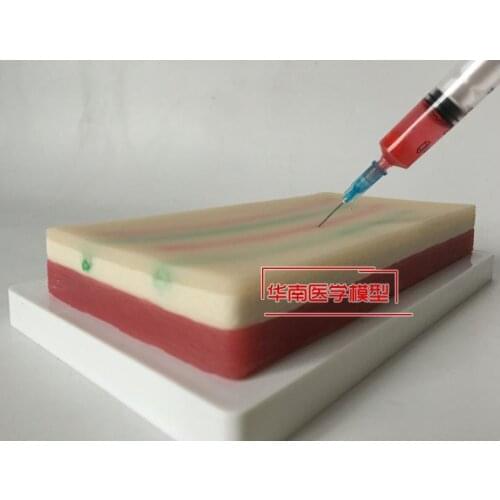 Genuine original skin model venous puncture injection practice skin suture exercise model