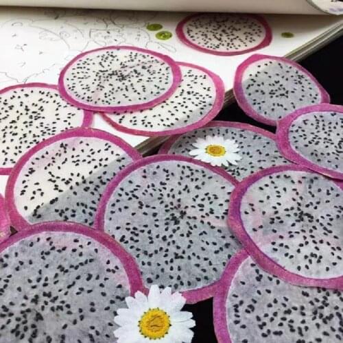 5pcs Dried Pressed Mini Fruit Pitaya Slices Plant Herbarium For Jewelry Photo Frame Phone Case Bookmark Making DIY