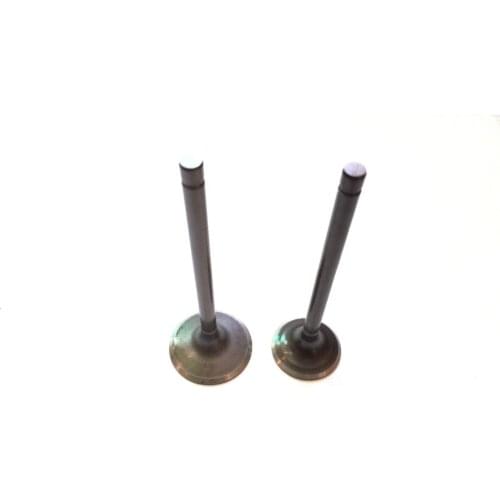 TRI-MOTO 200 INTAKE & EXHAUST VALVE SET KIT FIT TRI-MOTO YTM200