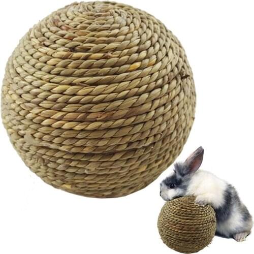 Legendog 1pc Bite Resistant Small Pet Toy Creative Ball Shape Training Activity Chew Toy Small Animal Toys Pet Supplies