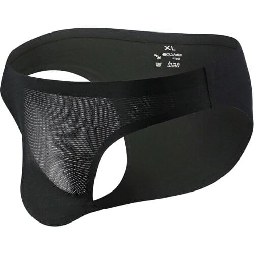 Gay Ice Silk Mens Panties Bikini Penis Erotic Mens Underwear Briefs Modal Men Underpants Sexy Lingerie Seamless Brief