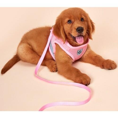 Pet Dog Harness and Leash Set Summer Chihuahua Fashion Harness for Small Dog Adjustable Walking Puppy Accessories