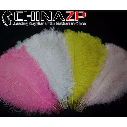 CHINAZP Samba Carnival Feather Supplier 20inch to 22inch (50-55cm)Retail Package Ostrich Plumage Feather for Carnival Headpiece