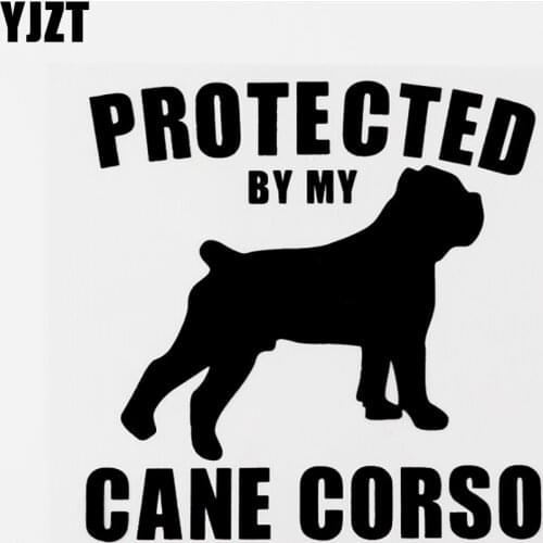 YJZT 13CM×13.2CM Protected By My Cane Corso Vinyl Animal Car Sticker Decal Black/Silver 8C-0687