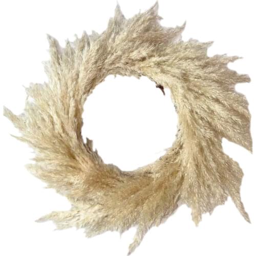 New Pure Natural Handmade Pampas Grass Wreath Bohemian Style Home Interior Christmas Wedding Decoration Handicraft