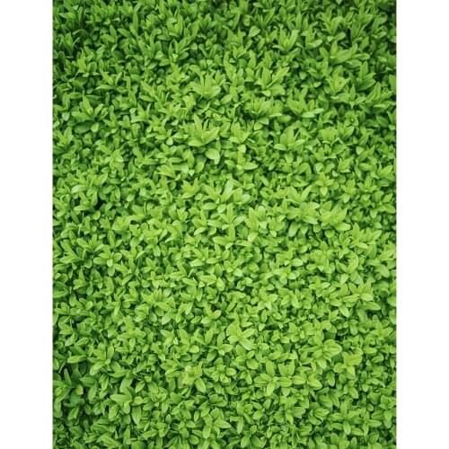 TR Photographic New Spring Backgrounds Vine Lawn Leafy Green Screen Newborn Kids Vinyl Backdrops Photocall Baby Shower Wood Prop