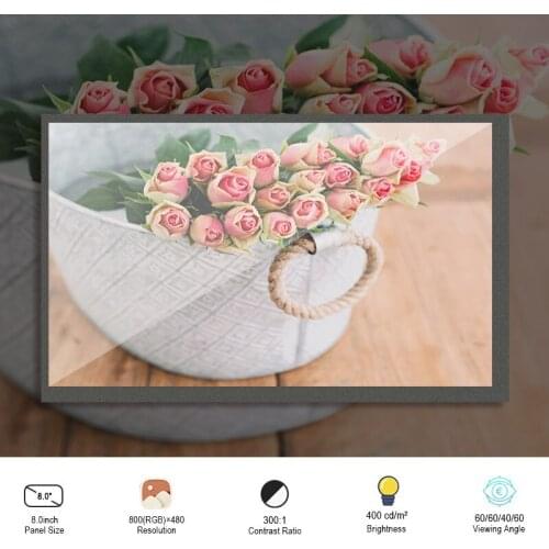 Original 8 Inch LVDS LCD screen C080VW02 V.0 Resolution 800*480 Brightness 400 Contrast 300:1