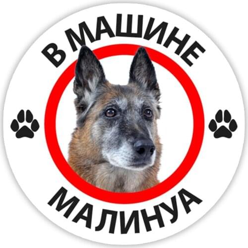 B0249 Malinois In the Car Self-adhesive Decal Car Sticker Waterproof Auto Decors on Bumper Rear Window