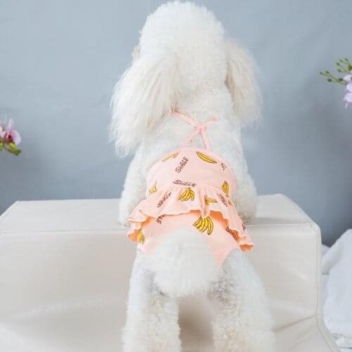 Female Dog Diaper Washable Dog Dipers Physiological Pants for Small Dogs Chihuahua Underwear Sanitary Panties Shorts Girl Dogs