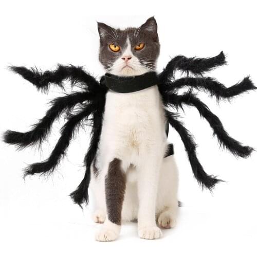 Halloween Pet Dress Up Super Funny Cat Clothing Spider Dress Up Dog Accessories Halloween Small Dog Costume Cat Cosplay Spider