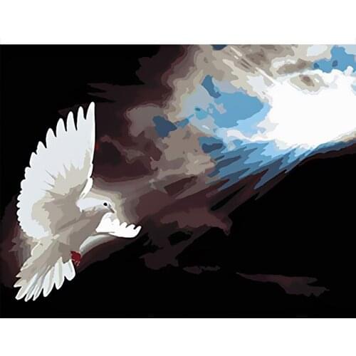 Animal pigeon Haitian lin Scenery DIY Digital Painting By Numbers Modern Wall Art Canvas Painting Unique Gift Home Decor 40x50cm