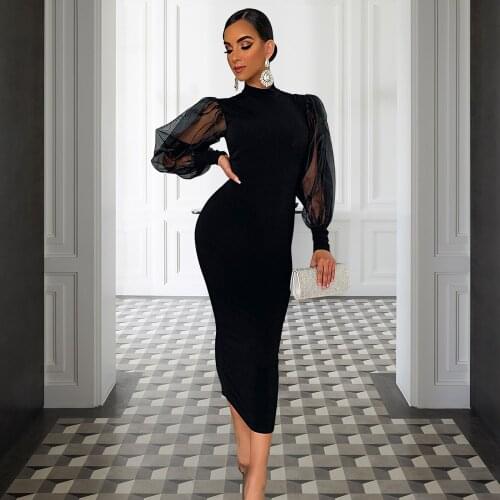 Echoine Summer Sheer Mesh Puff Sleeve Elegant Black Long Midi Bodycon Dress Lantern Sleeve Turtleneck Sexy Party Club Vintage