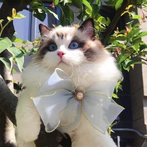 Ribbon Gauze Organza Kitten Cat Collar Pearl Fairy Satin Dog Bowknot Necklace Head Decor Pet Bows Cat AccessoriesYorkie Ragdoll
