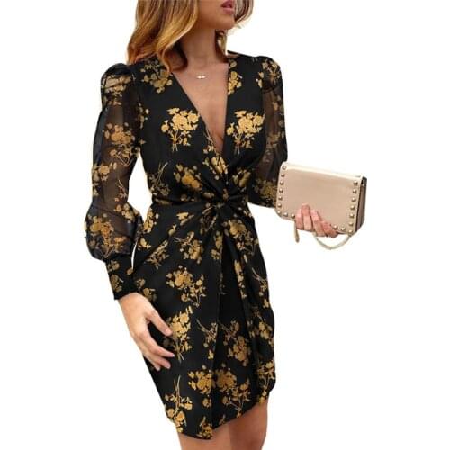 Women Sheer Mesh Long Sleeve Ladies Party Dresses Ruffles Lace Floral Print Dress Boho Mini Beach Dress Vestido