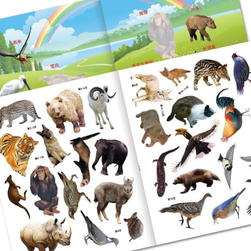 8 Volumes Animal Sticker Books Children Old Concentration Training Painting Volumes Painting Drawing Art Learning Beginner