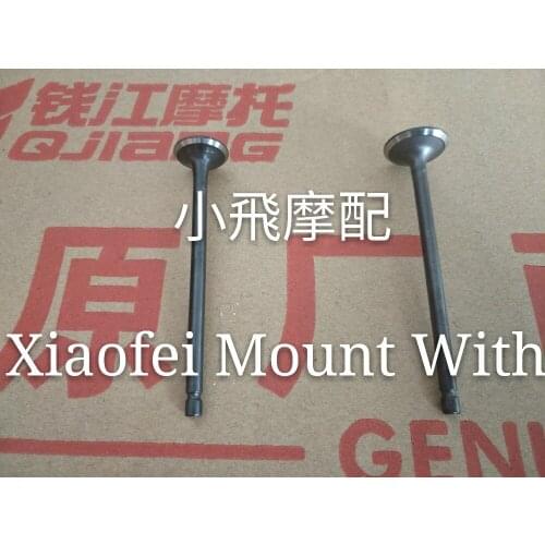 Benelli BJ125-3E TNT125/135 Motorcycle Engine Intake Exhaust Valves