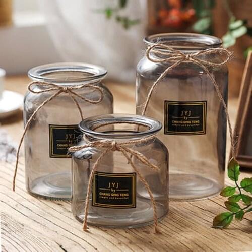 Fashionable Simple Light Glass Vase Decoration Hydroponic Living Room Decoration Desk Green Plant Ins Label Vase Transparent