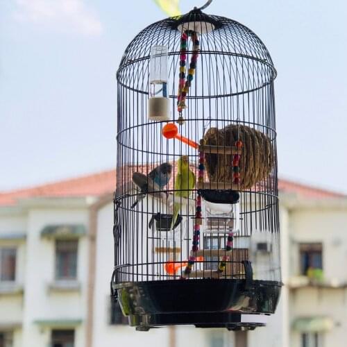 Free mail black and white large round birdcage thrush tiger skin peony parrot pearl metal cage hanging spillproof food box