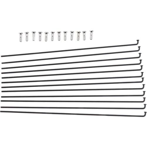 12Pcs Cycling Steel Bicycle Spokes Mountain Bike Spokes with Nipples Suitable for All Kinds of Bicycles