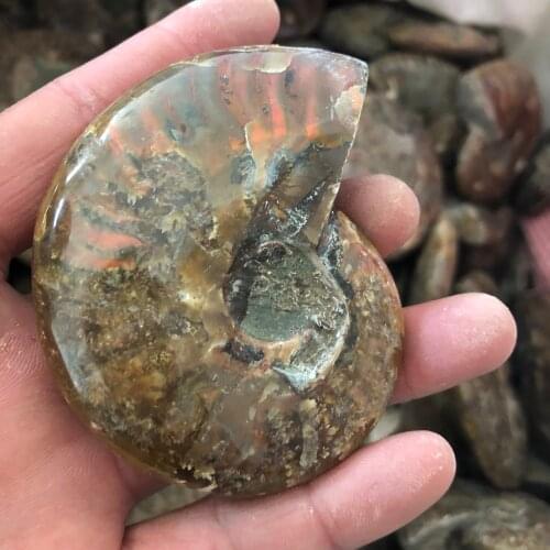 145g From Madagascar to feng shui in the natural mineral fossil specimens