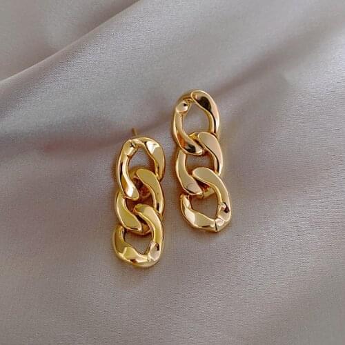 Cold And Cold Wind Metal Chain Earrings Women 2021 New Temperament Personality Fashion Earrings Simple Earrings