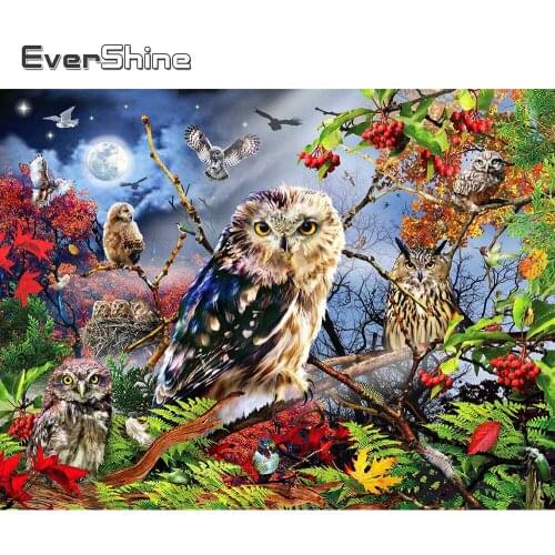 Evershine 5D DIY Diamond Painting Owl New Arrival Diamond Embroidery Animal Full Square Round Drill Cross Stitch Sale Wall Decor