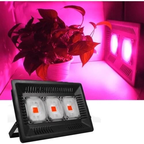 Cob Led Grow Light 1000W Phyto Lamp Waterproof IP67 Lamp For Plants Grow LED Full Spectrum Indoor Plants Seedlings Growth Lights