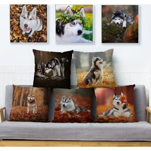 HD Siberian Husky Dogs Print Cuhsion Cover 45*45 Square Pillow Covers Beige Linen Pillows Cases Sofa Home Decor Pillowcase