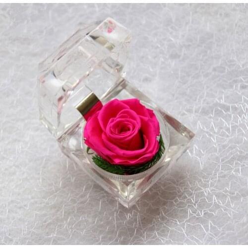 HEXNON Artificial Flowers For Decoration