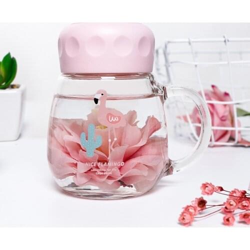 350ml Creative Flamingo Unicorn Cute Cartoon Travel Glass Bottle Printed Animal Student Transparent Water bottle Cup With Handle