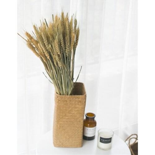 50pcs Dried Natural Ears of Wheat Bunch Real Wheat Ear Flower Bouquets for Wedding Bridal Decorative Flower Home Decoration