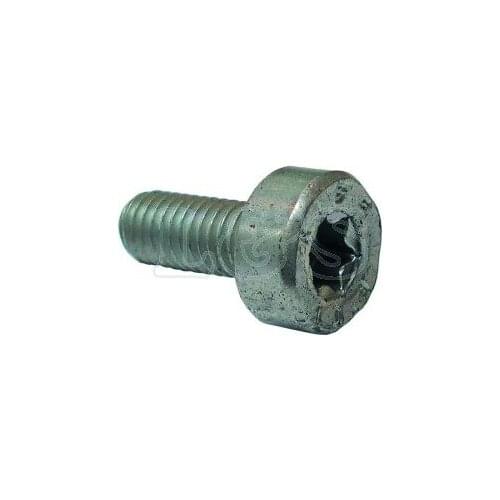 Screw TORX COMP. STIHL M5 X 12 MM