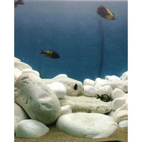 Dolomite large size stone 1 kg for aquarium, terrarium or pond 300-500gr every dolomite stone nearly 2-3 pieces totally 1 kg