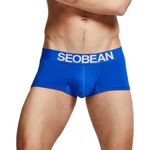 Cotton Underwear Mens Boxer Shorts Calzoncillos Hombre Boxershorts Plus Size Slip Panties Sleep Bottoms Bugle Pouch Underpants