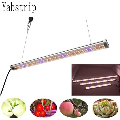 3 Year Warranty LED grow light strip full spectrum fitolampy for indoor seedling Vegetable Greenhouse Grow Tent phyto lamp