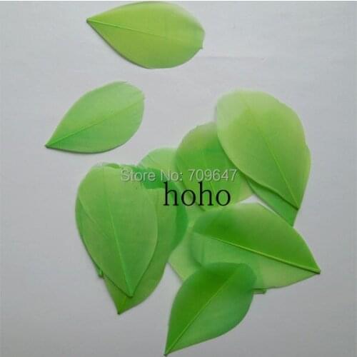200Pcs/lot!3-6cm Lime Green/Light Green Trimmed Goose Feathers,Feather Petals,Green Trimmed Feathers for DIY Craft