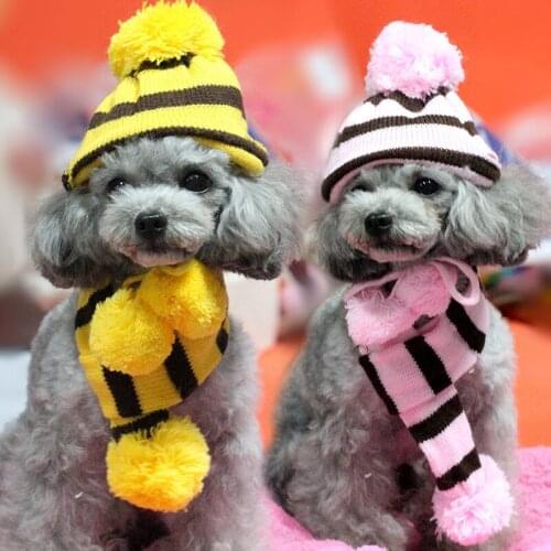 New pet clothes in winter to keep warm three-piece hat elbow pads scarf teddy bear than autumn winter to keep warm