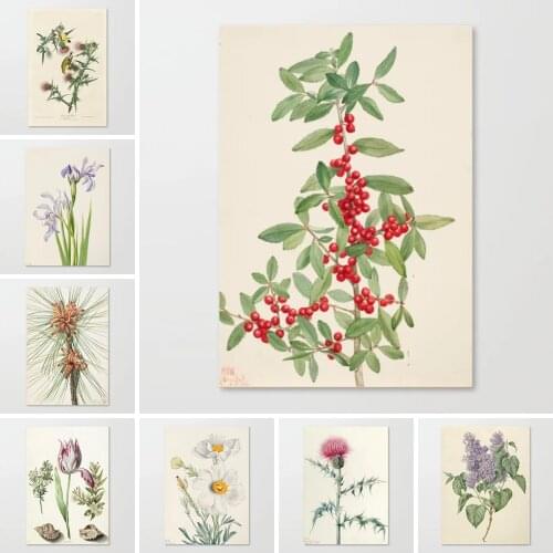 Modular Hd Prints Pictures Paintings Butterfly Home Decoration Canvas Vintage Poster Wall Artwork For Living Room No Framework