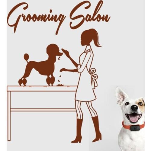 Grooming Salon Glass Decal Pet Shop Wall Sticker Dog Posters Vinyl Art Decals Decor Mural Pet Clinic 1007