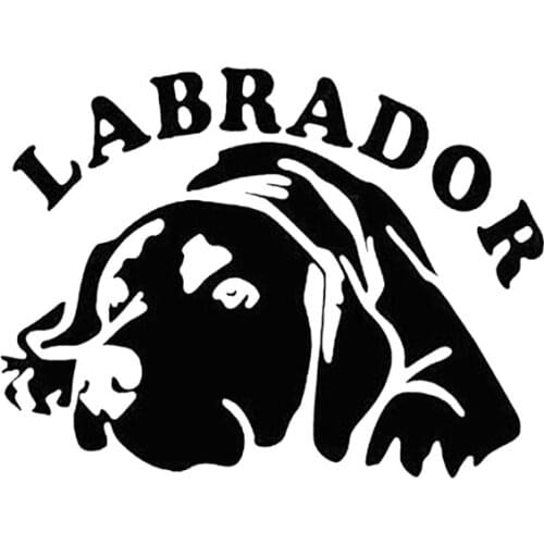 Black/Sliver Car Sticker Cute Labrador Dog Aniaml Decal Vinyl Car Vehicle Body Window Decals Decoration C788