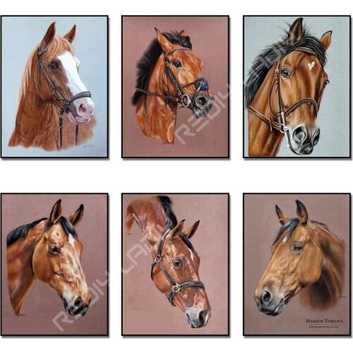 REDIY LADIY Paintings By Numbers