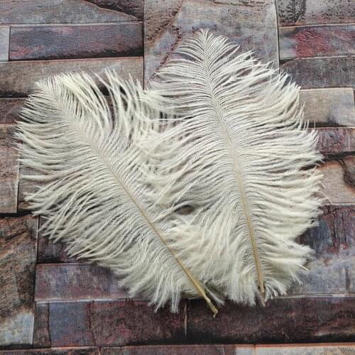 Holiday Decorations 10pcs beautiful Beige ostrich feathers 6-8 inches/15-20 cm wholesale decoration