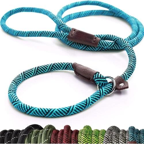 Dog Supplies Durable Slip Rope Dog Leash Collar 2 In 1 Adjustable Loop Collar Comfortable Small Meidum Large Pet Harness Leash