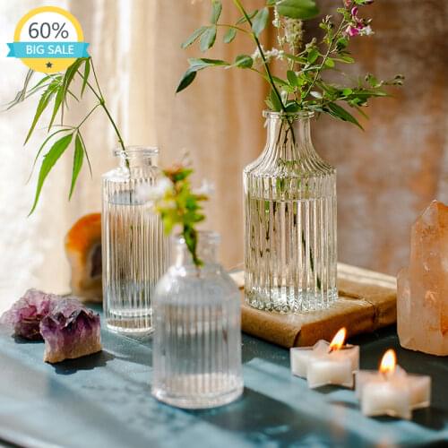 Japanese Transparent Glass Tabletop Simple Vase Striped Hydroponics Flower Vase Small Vaso Decorativo House Decoration AH50VS