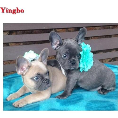 5d DIY Diamond Painting Cross Stitch French Bulldog Diamond Embroidery Pet Dog Diamond Mosaic Full Square/Round Drill