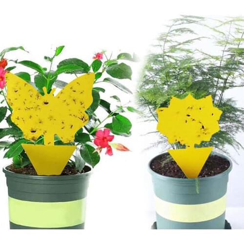 20pc Glue Trap Catcher Sticky Boards Yellow Sticky Traps Eliminate Flies Insect Bug Garden Glue Paper Board Plant Flycatchers