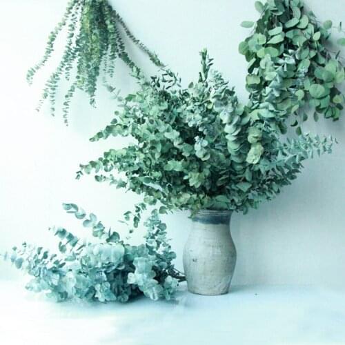 8 to10pcs Bouquet Natural Eucalyptus Leaves Branches Dried Flower Real Plant Diy Flower Wedding Table Ornament Party Home Decor
