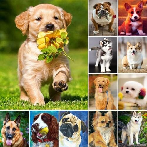 5D DIY Diamond Painting Animal Cute Pet Dog Rhinestone Cross Stitch Picture Kit Full Diamond Embroidery Mosaic Decoration Gift