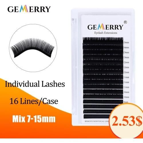 GEMERRY 16 Lines Individual Eyelash Extensions for Professional Lash Building C/CC/D/DD Faux Mink Soft Hand Made Fake Eyelashes