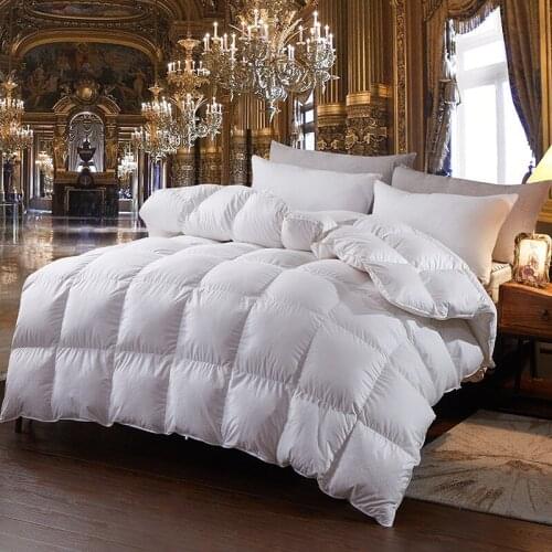 100% White Goose Down Comforter For Winter & Autumn Duvet Insert Blanket Filling Feather Down Quilt Twin King Size Duvet Queen